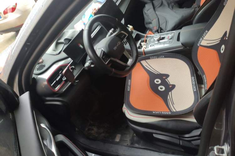 Used BYD Destroyer 05 2023 Champion Edition DM-i 55KM Luxury Model Left Front Seat