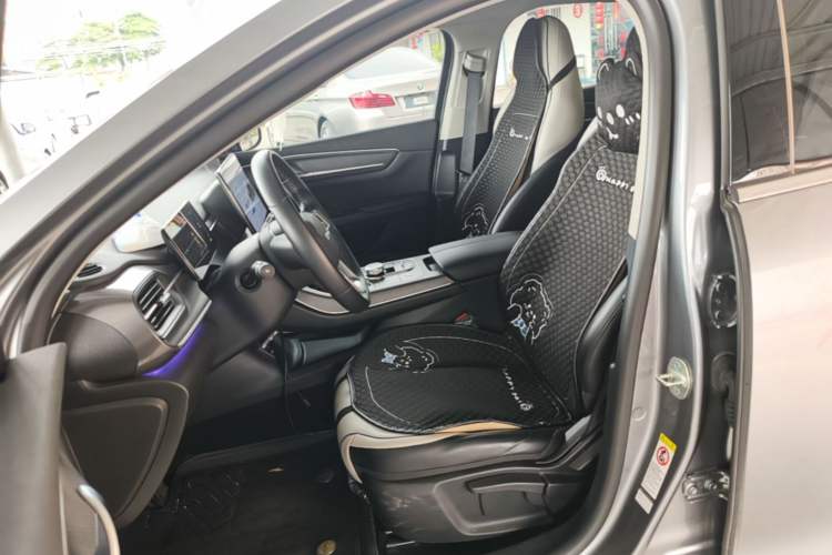 Used BYD Destroyer 05 2023 Champion Edition DM-i 55KM Luxury Model Left Front Seat