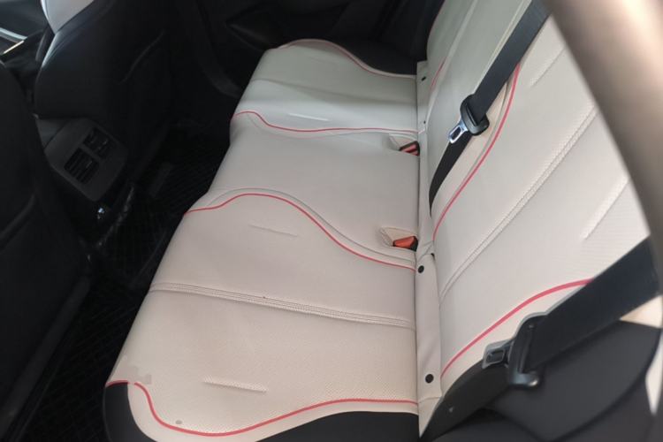 Used BYD Destroyer 05 2023 Champion Edition DM-i 55KM Luxury Model Left Rear Seat
