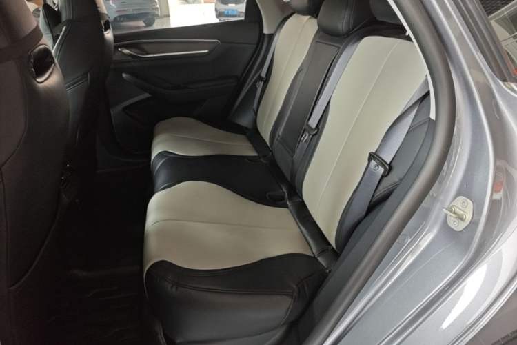 Used BYD Destroyer 05 2023 Champion Edition DM-i 120KM Prestige Model Left Rear Seat