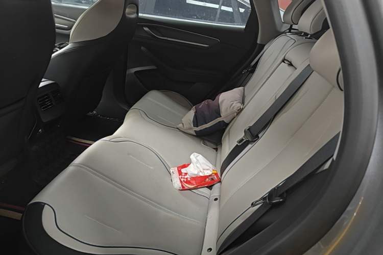 Used BYD Destroyer 05 2023 Champion Edition DM-i 120KM Prestige Model Left Rear Seat