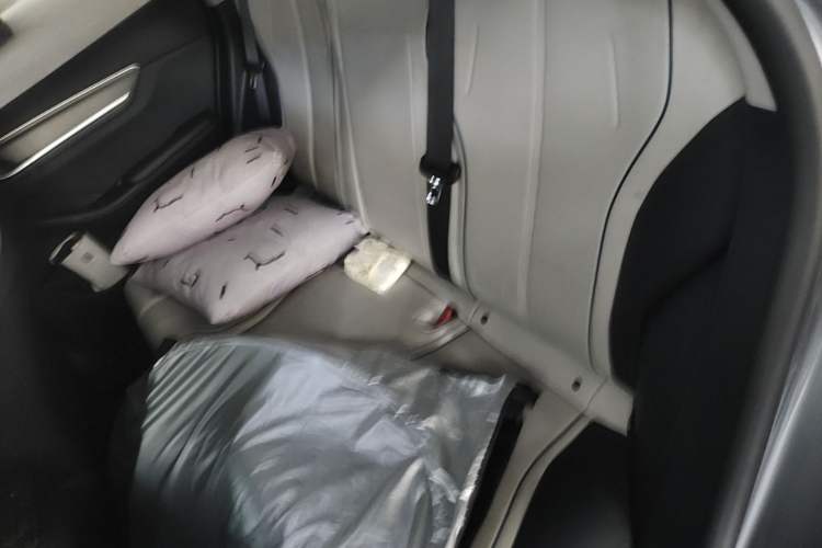 Used BYD Destroyer 05 2023 Champion Edition DM-i 55KM Luxury Model Left Rear Seat