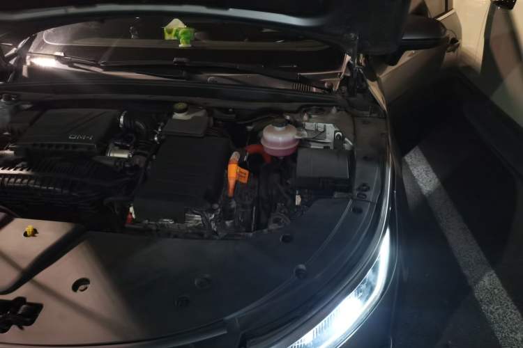 Used BYD Destroyer 05 2023 Champion Edition DM-i 120KM Prestige Model Engine Bay Left