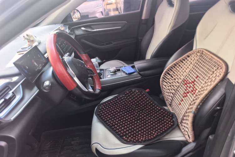Used BYD Destroyer 05 2023 Champion Edition DM-i 120KM Prestige Model Left Front Seat