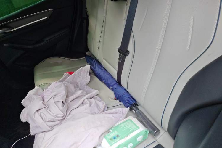 Used BYD Destroyer 05 2023 Champion Edition DM-i 120KM Prestige Model Left Rear Seat