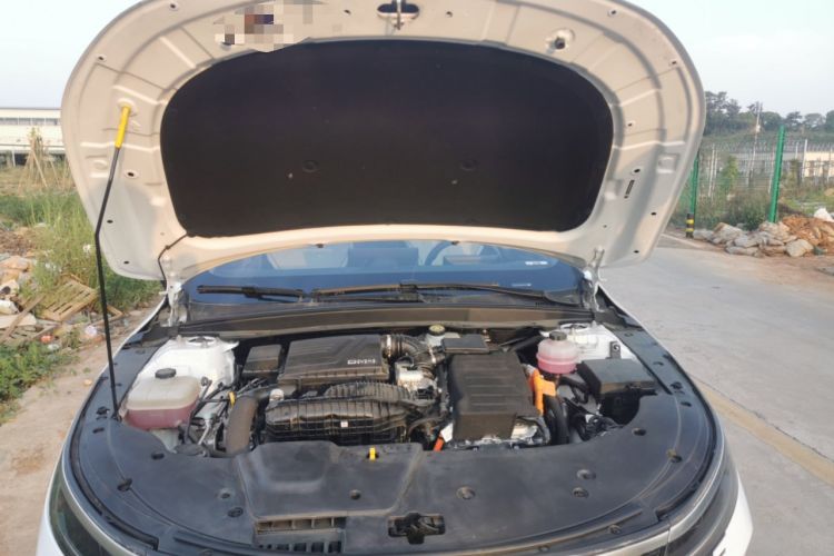 Used BYD Destroyer 05 2023 Champion Edition DM-i 55KM Luxury Model Engine Bay