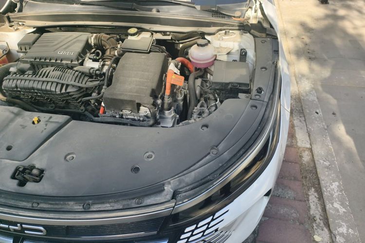 Used BYD Destroyer 05 2023 Champion Edition DM-i 120KM Prestige Model Engine Bay Left