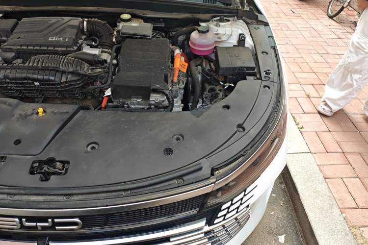 Used BYD Destroyer 05 2023 Champion Edition DM-i 120KM Prestige Model Engine Bay Left