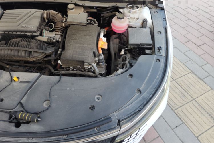 Used BYD Destroyer 05 2023 Champion Edition DM-i 55KM Luxury Model Engine Bay Left