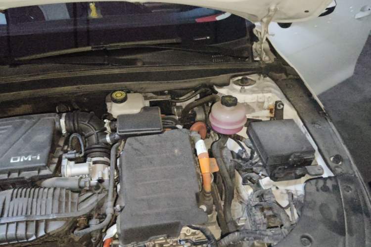 Used BYD Destroyer 05 2023 Champion Edition DM-i 120KM Luxury Model Engine Bay Left