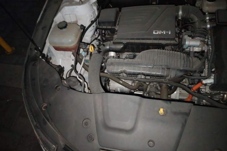 Used BYD Destroyer 05 2023 Champion Edition DM-i 55KM Luxury Model Engine Bay Right