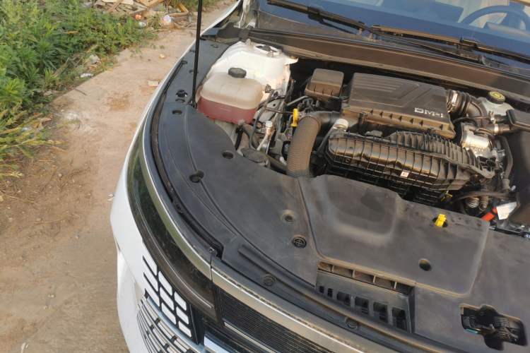 Used BYD Destroyer 05 2023 Champion Edition DM-i 55KM Luxury Model Engine Bay Right