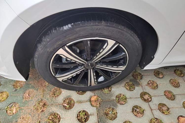 Used BYD Destroyer 05 2023 Champion Edition DM-i 120KM Luxury Model Exterior 4