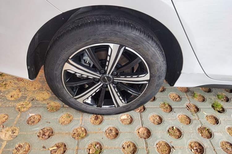 Used BYD Destroyer 05 2023 Champion Edition DM-i 120KM Luxury Model Exterior 5
