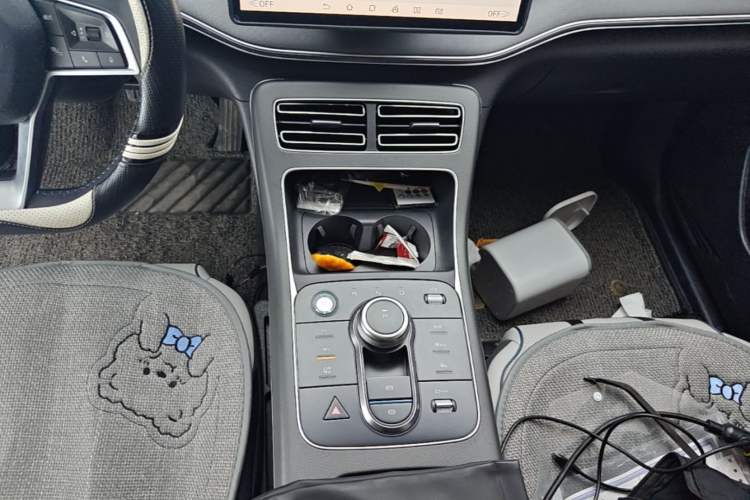 Used BYD Destroyer 05 2023 Champion Edition DM-i 55KM Luxury Model Gear Lever