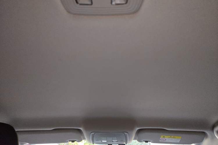 Used BYD Destroyer 05 2023 Champion Edition DM-i 120KM Prestige Model Headliner