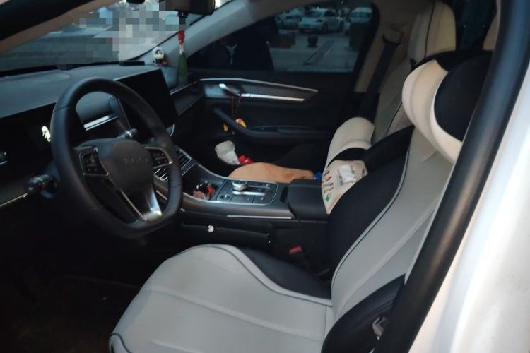 Used BYD Destroyer 05 2023 Champion Edition DM-i 55KM Luxury Model Left Front Seat