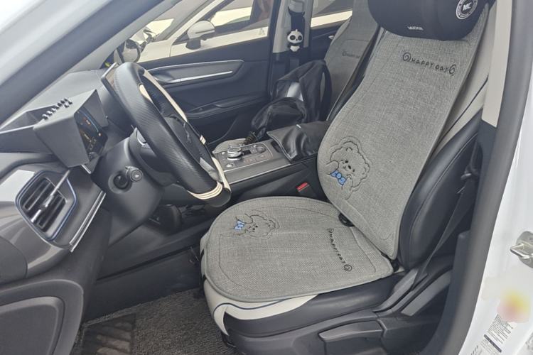 Used BYD Destroyer 05 2023 Champion Edition DM-i 55KM Luxury Model Left Front Seat