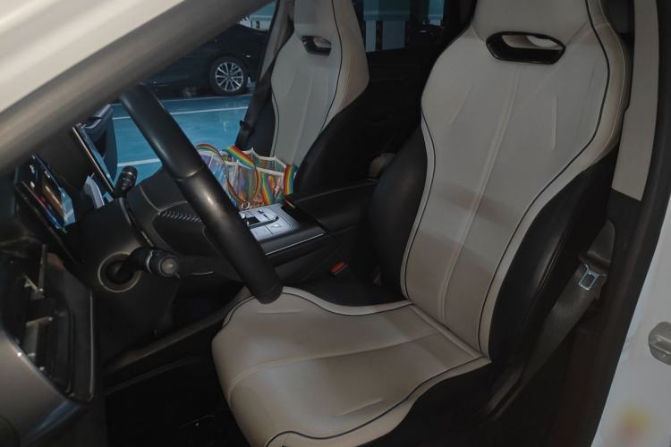 Used BYD Destroyer 05 2023 Champion Edition DM-i 120KM Prestige Model Left Front Seat