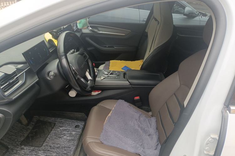 Used BYD Destroyer 05 2023 Champion Edition DM-i 55KM Prestige Model Left Front Seat