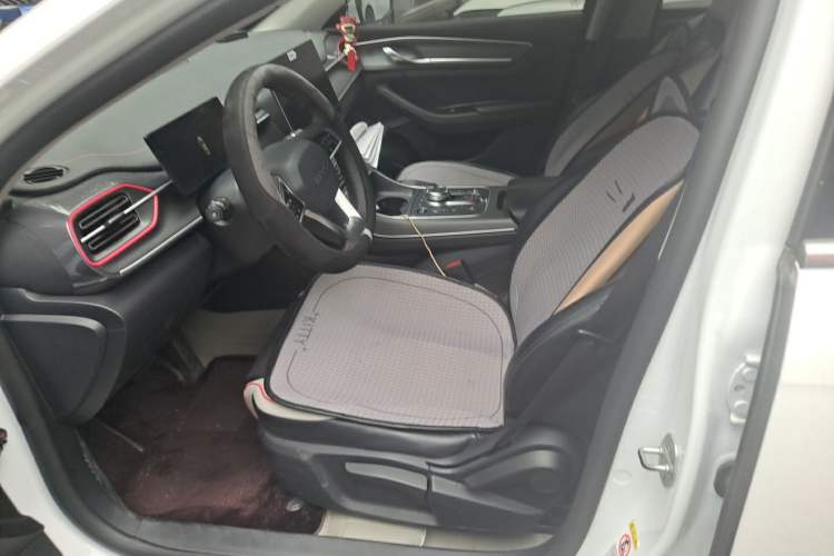 Used BYD Destroyer 05 2023 Champion Edition DM-i 55KM Luxury Model Left Front Seat
