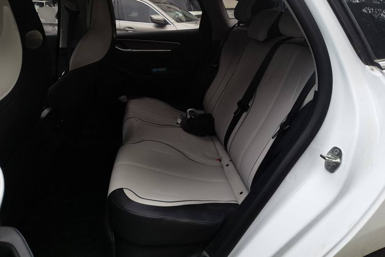 Used BYD Destroyer 05 2023 Champion Edition DM-i 55KM Luxury Model Left Rear Seat