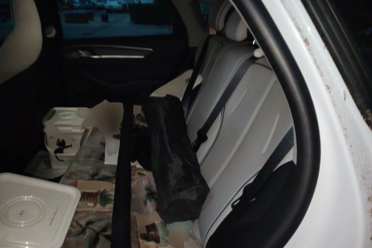 Used BYD Destroyer 05 2023 Champion Edition DM-i 55KM Luxury Model Left Rear Seat