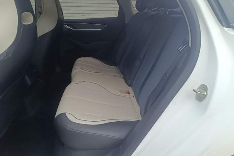 Used BYD Destroyer 05 2023 Champion Edition DM-i 55KM Luxury Model Left Rear Seat