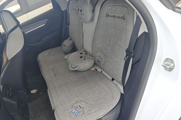 Used BYD Destroyer 05 2023 Champion Edition DM-i 55KM Luxury Model Left Rear Seat