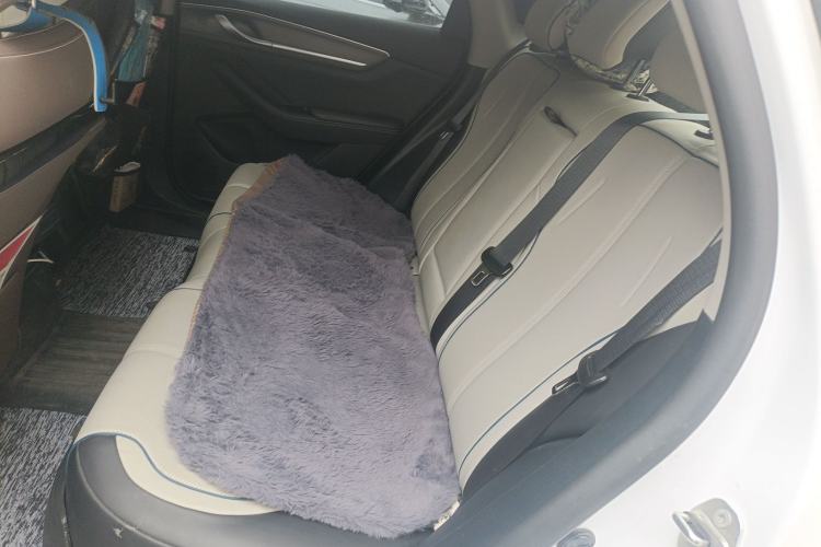 Used BYD Destroyer 05 2023 Champion Edition DM-i 55KM Prestige Model Left Rear Seat