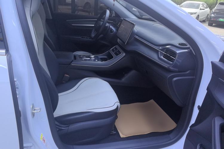 Used BYD Destroyer 05 2023 Champion Edition DM-i 120KM Prestige Model Right Front Seat