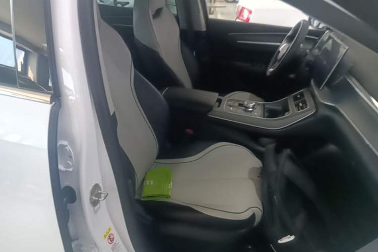 Used BYD Destroyer 05 2023 Champion Edition DM-i 55KM Luxury Model Right Front Seat