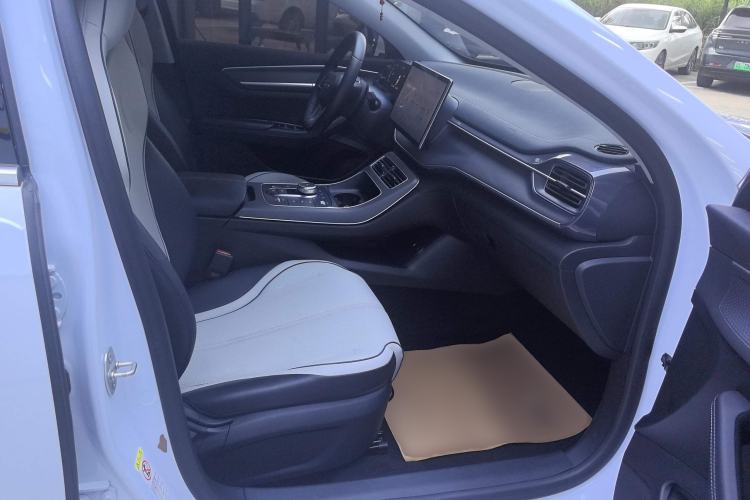 Used BYD Destroyer 05 2023 Champion Edition DM-i 120KM Prestige Model Right Front Seat