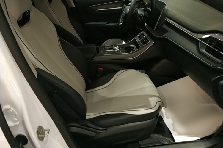 Used BYD Destroyer 05 2023 Champion Edition DM-i 120KM Prestige Model Right Front Seat
