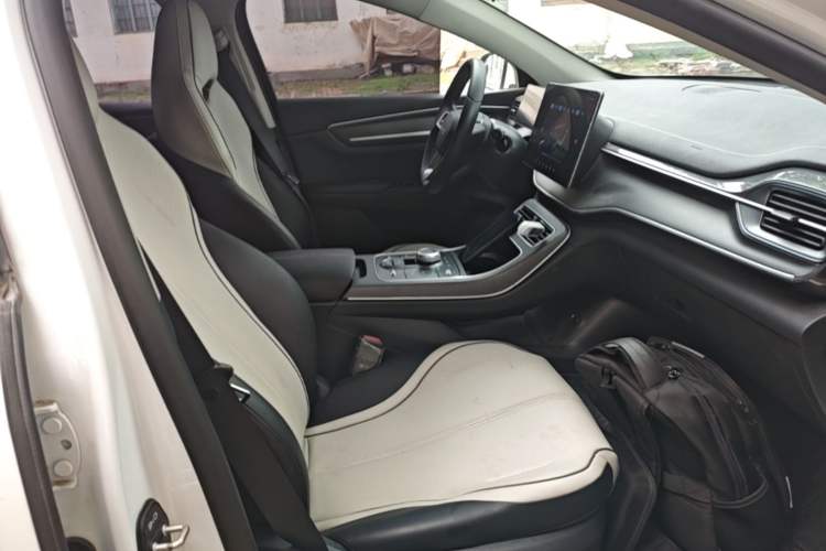 Used BYD Destroyer 05 2023 Champion Edition DM-i 55KM Luxury Model Right Front Seat