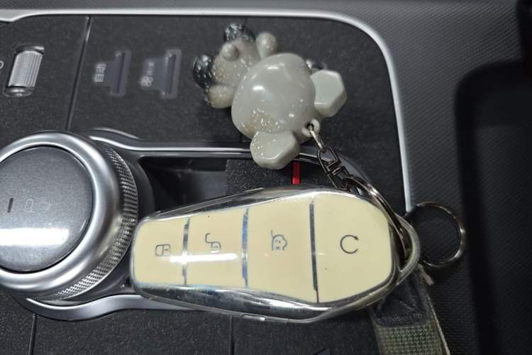 Used BYD Destroyer 05 2023 Champion Edition DM-i 55KM Luxury Model Vehicle Key