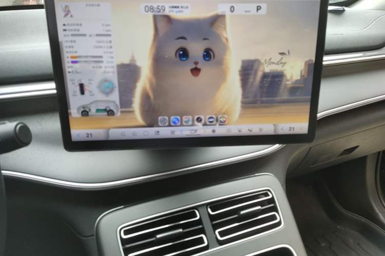 Used BYD Destroyer 05 2024 HONOR Edition DM-i 55KM Luxury Model Audio And AC Panel