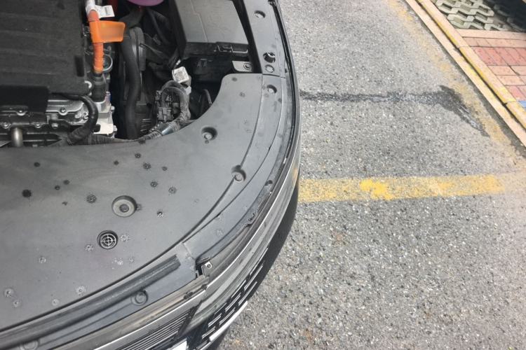Used BYD Destroyer 05 2024 HONOR Edition DM-i 55KM Luxury Model Engine Bay Left