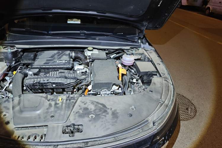Used BYD Destroyer 05 2024 HONOR Edition DM-i 55KM Luxury Model Engine Bay Left