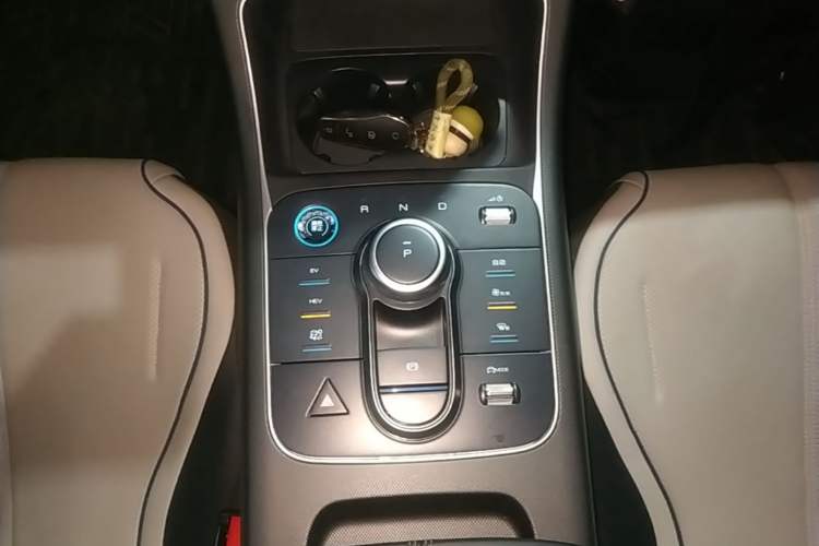 Used BYD Destroyer 05 2024 HONOR Edition DM-i 55KM Luxury Model Gear Lever