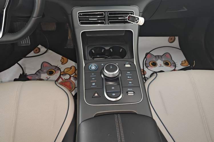 Used BYD Destroyer 05 2024 HONOR Edition DM-i 55KM Luxury Model Gear Lever