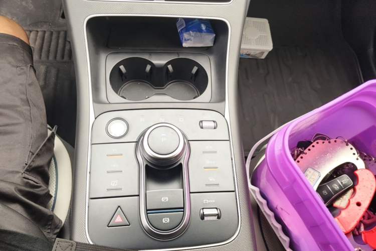 Used BYD Destroyer 05 2024 HONOR Edition DM-i 55KM Luxury Model Gear Lever