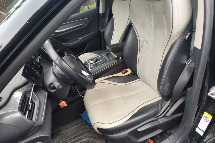 Used BYD Destroyer 05 2024 DM-i 55KM Flagship Glory Edition Left Front Seat