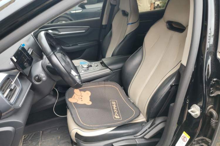 Used BYD Destroyer 05 2024 HONOR Edition DM-i 55KM Luxury Model Left Front Seat