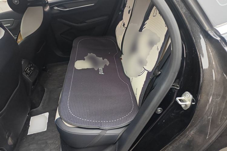 Used BYD Destroyer 05 2024 HONOR Edition DM-i 55KM Luxury Model Left Rear Seat