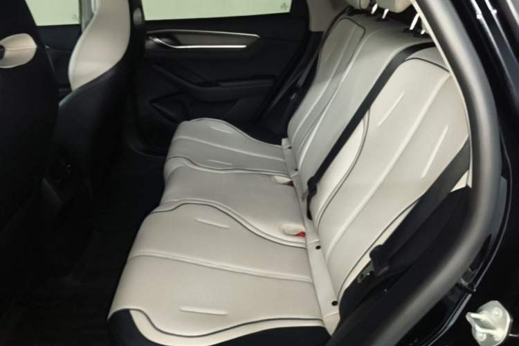 Used BYD Destroyer 05 2024 HONOR Edition DM-i 55KM Luxury Model Left Rear Seat