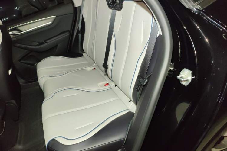 Used BYD Destroyer 05 2024 HONOR Edition DM-i 55KM Luxury Model Left Rear Seat