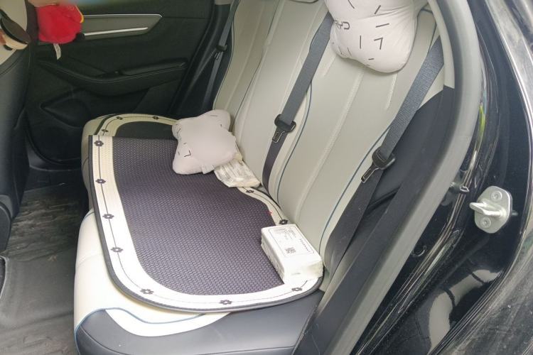 Used BYD Destroyer 05 2024 HONOR Edition DM-i 55KM Luxury Model Left Rear Seat