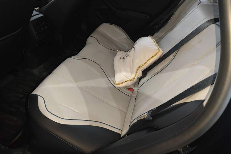 Used BYD Destroyer 05 2024 DM-i 55KM Flagship Glory Edition Left Rear Seat