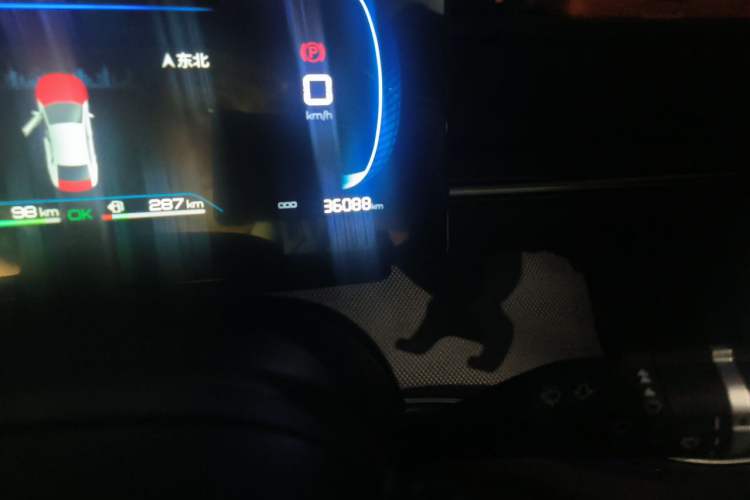 Used BYD Destroyer 05 2024 Honor Edition DM-i 120KM Luxury Model Odometer Close Up